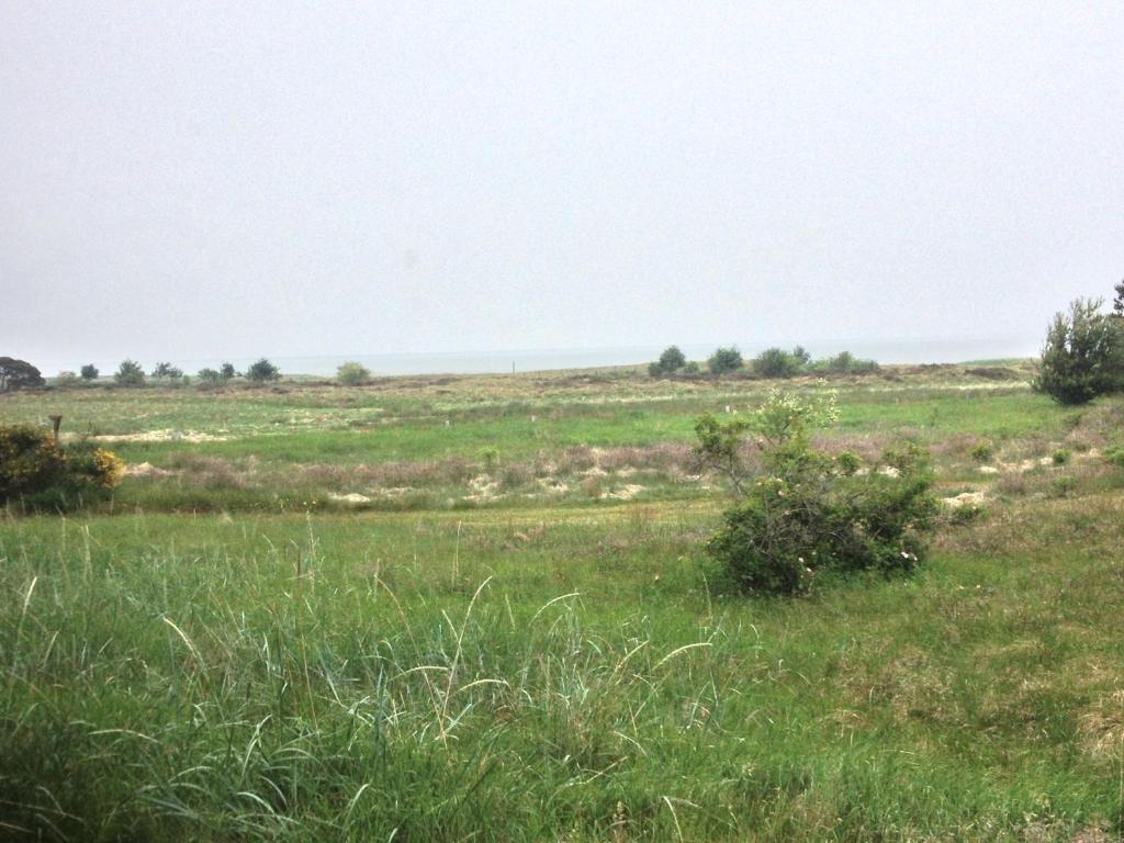 Vadehavet 2*
